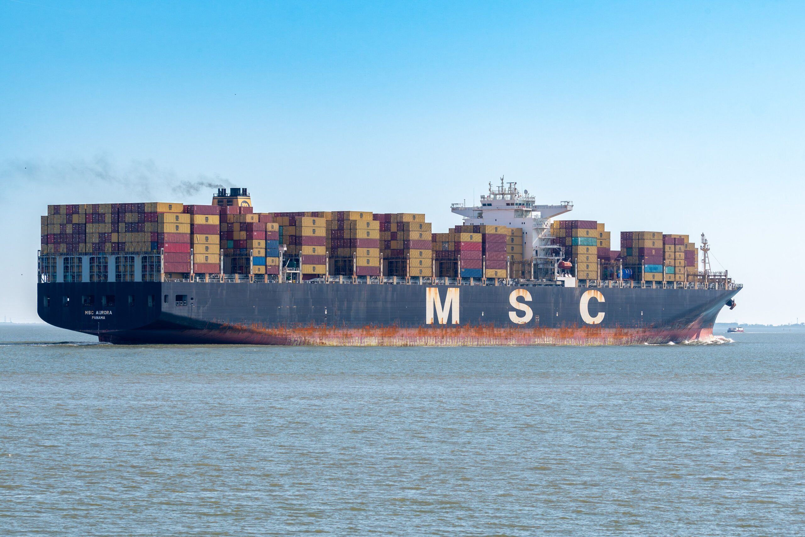 Exportación