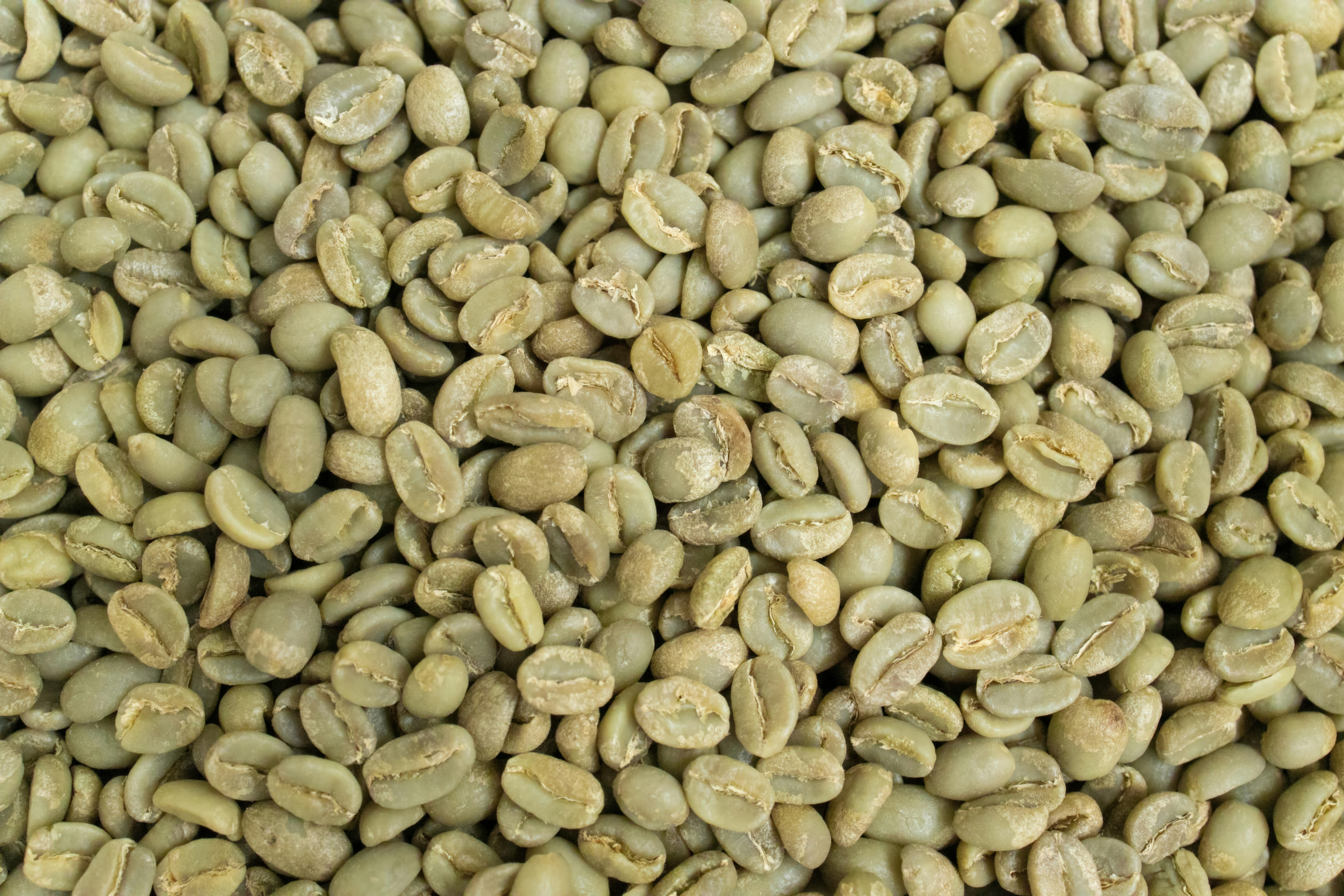 Café de Especialidad