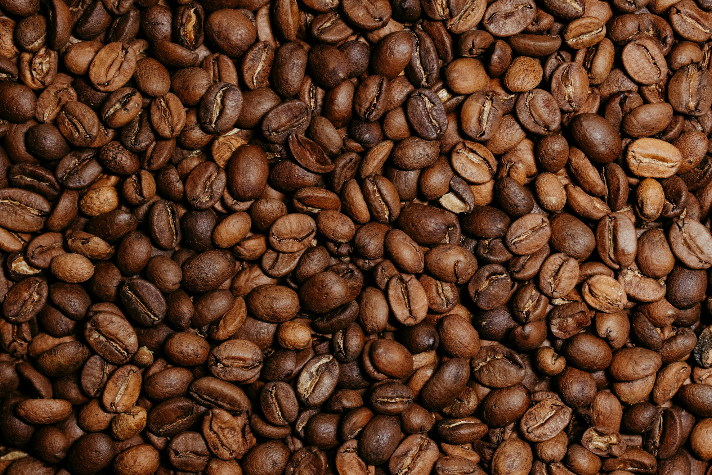 Cacao de Origen
