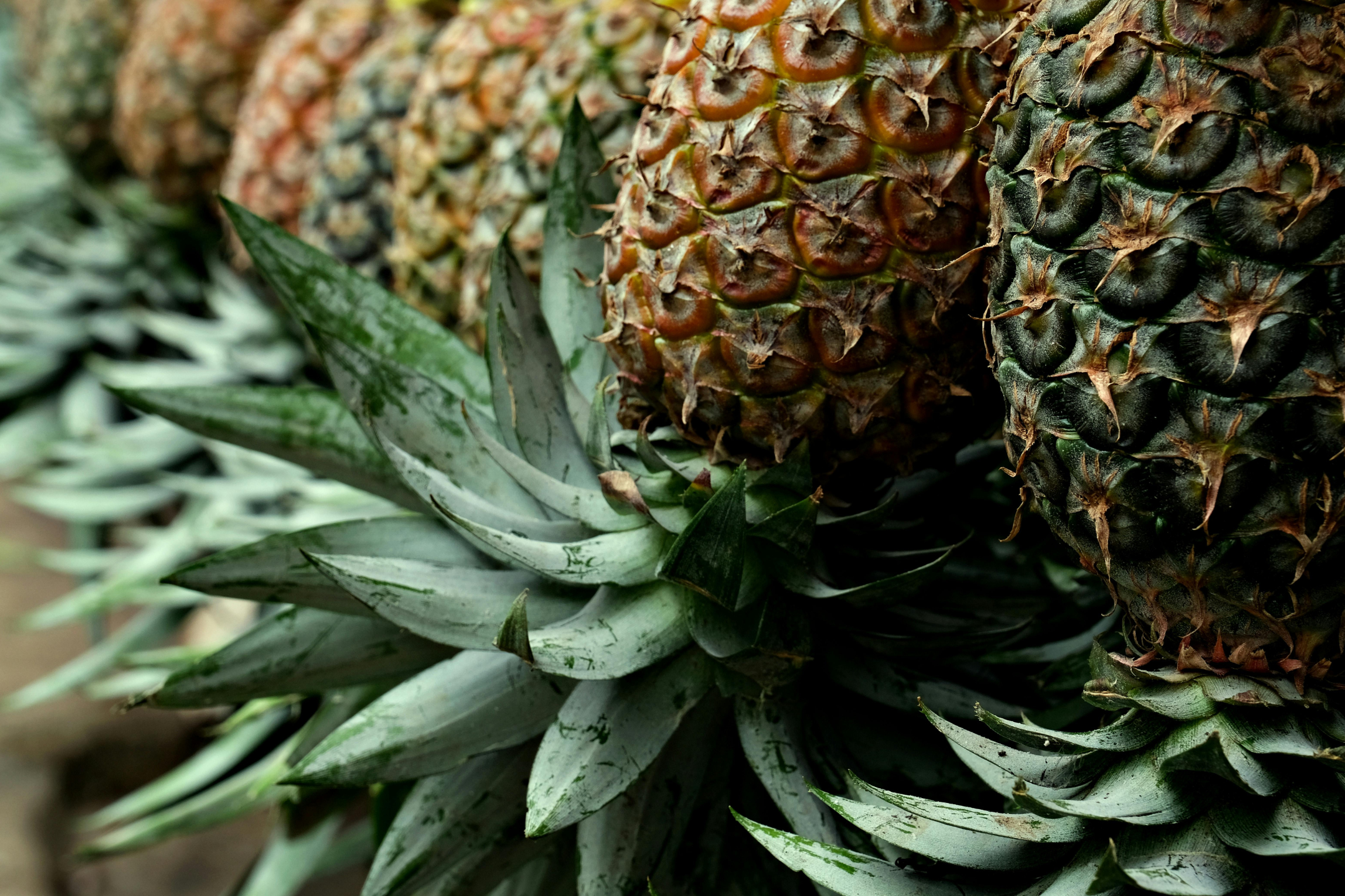 Frutas Tropicales