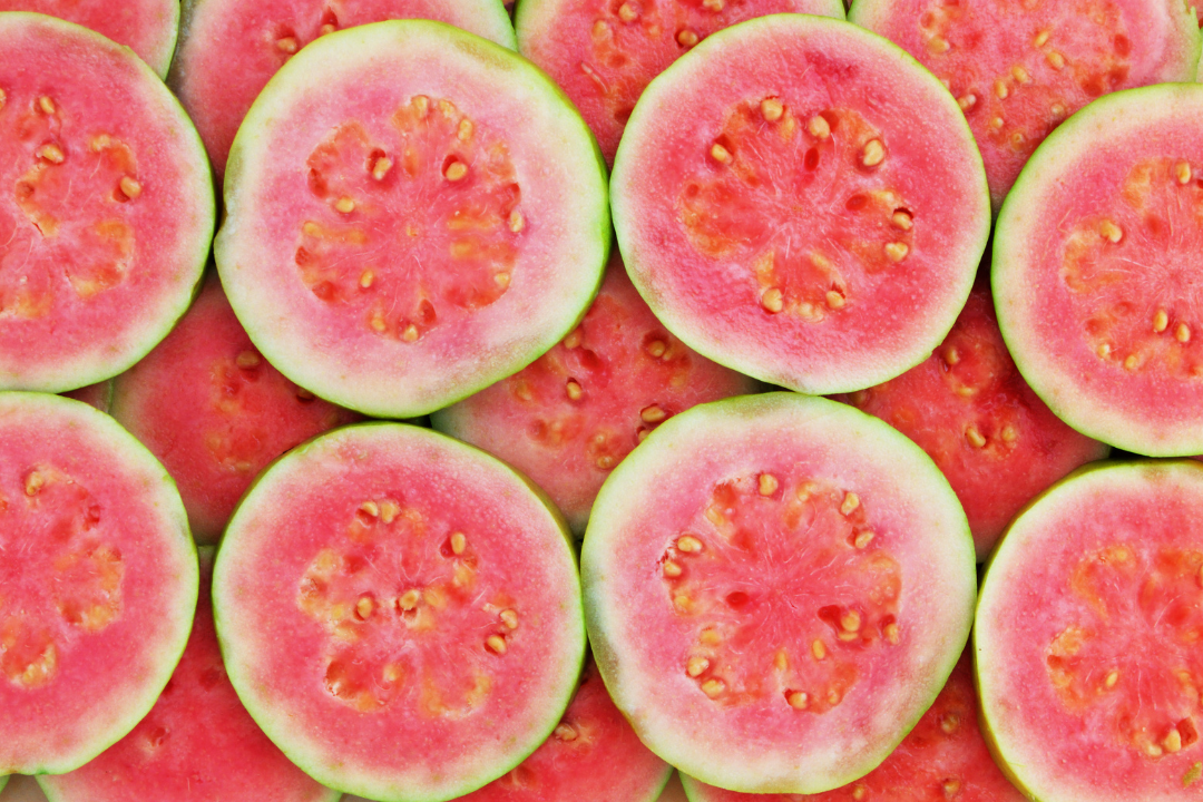 Guayaba